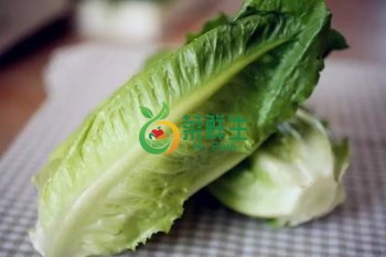 羅馬生菜500g