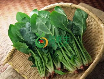 菠菜500g