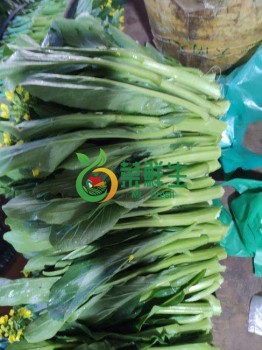 雲南尖葉菜心500g