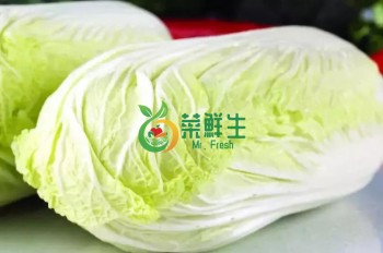 大旺菜1顆1500g（約）