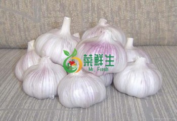 大蒜200~220克
