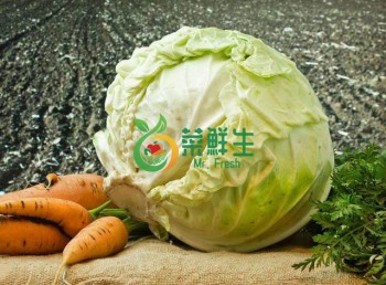 大椰菜1個（約1500g）