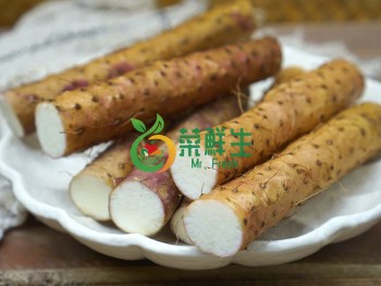 鐵棍山藥500g