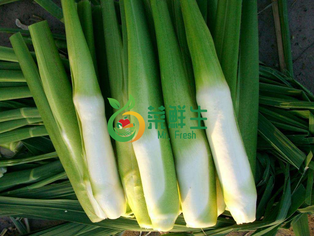 5e9f156b31487.jpg 5e9f156b31487.jpg