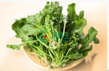 薺菜500g   