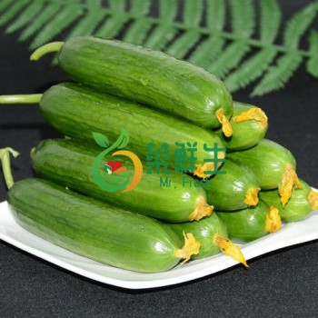 小青瓜500g大約4~5條