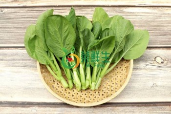 菜心苗500g